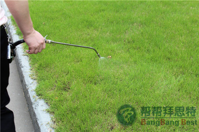工廠企業(yè)如何做好飛蟲消殺